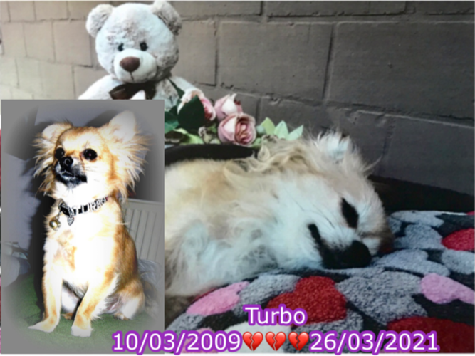 Foto van Turbo