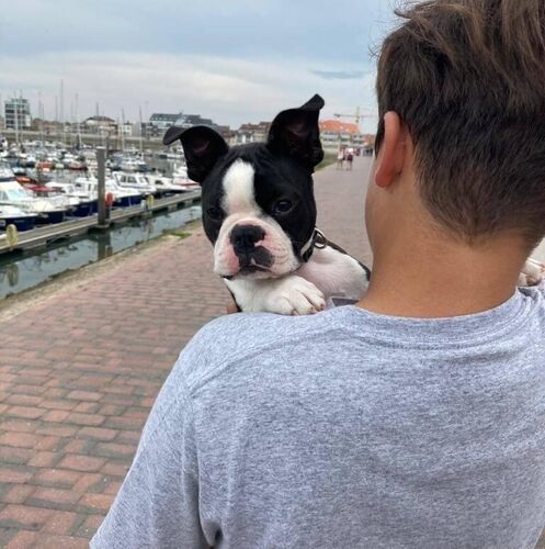 Foto van Uma