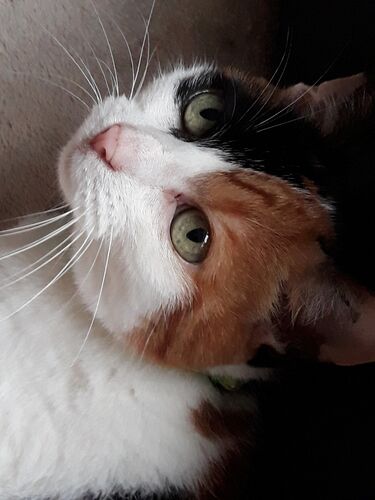 Foto van Zita