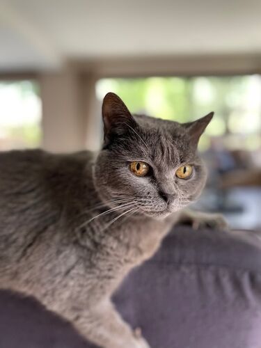 Foto van Zita